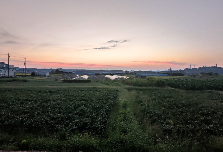 トトロに出てきそうな所に住んでます。